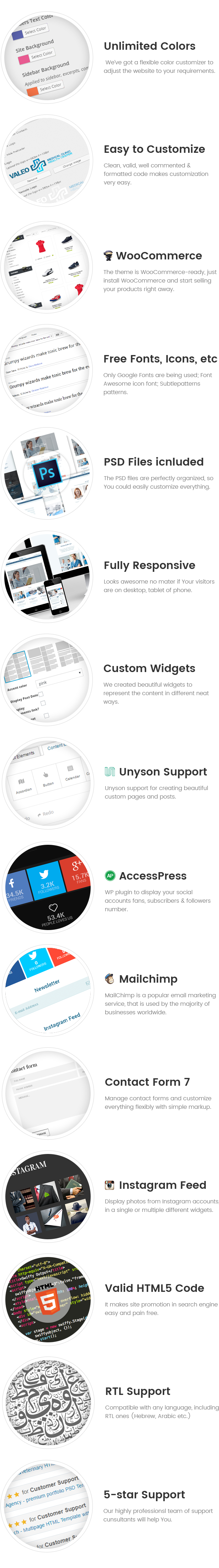 Chiropractor - Therapy and Rehabilitation WordPess Theme