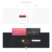 Chiropractor Therapy WordPess Theme