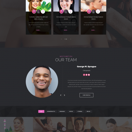 Chiropractor Therapy WordPess Theme